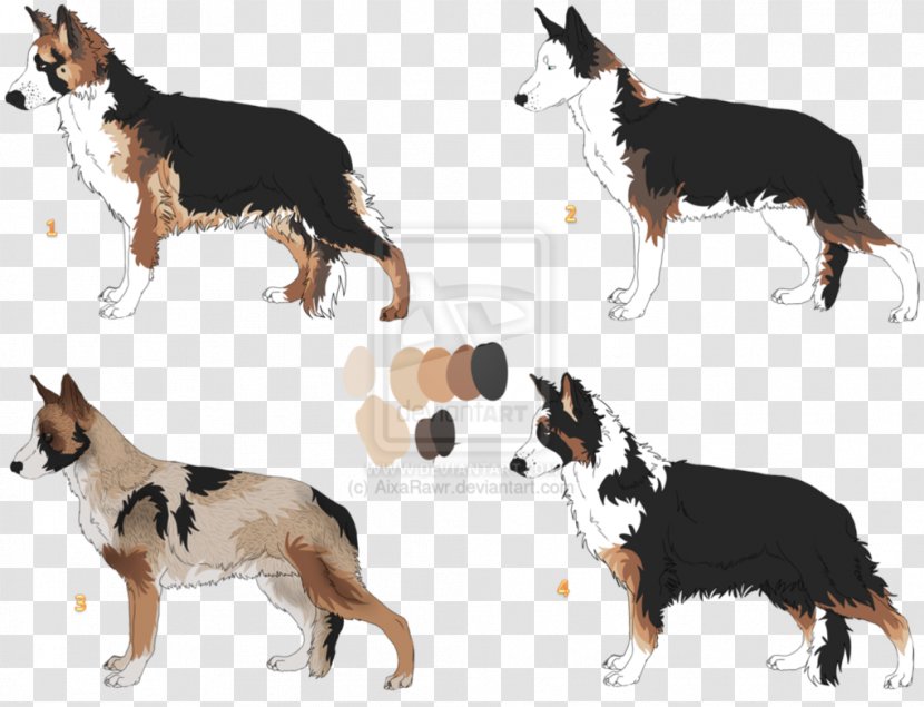 Dog Breed Border Collie Rough Tail - Carnivoran - Sheperd Transparent PNG