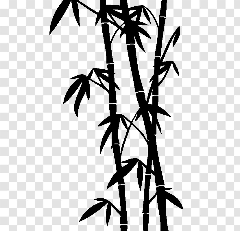 Tropical Woody Bamboos Drawing Stock Photography - Tige Transparent PNG