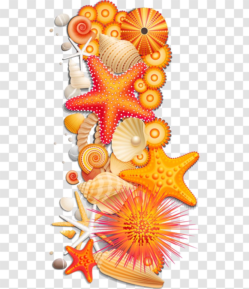 Seashell Orange Starfish Photography Transparent PNG