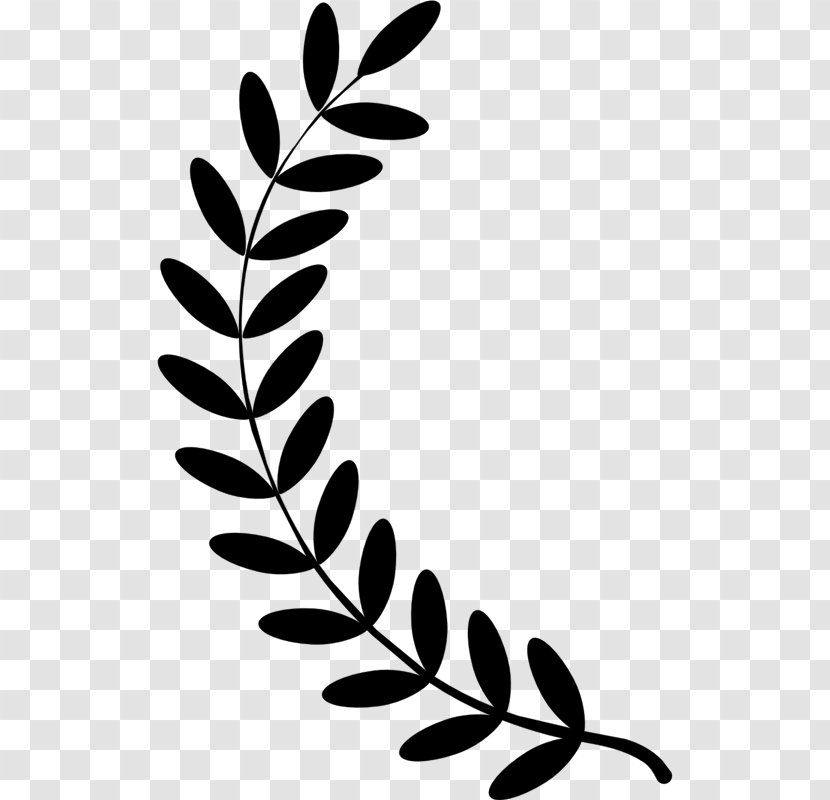 Laurel Wreath Bay Clip Art - Plant Stem Transparent PNG