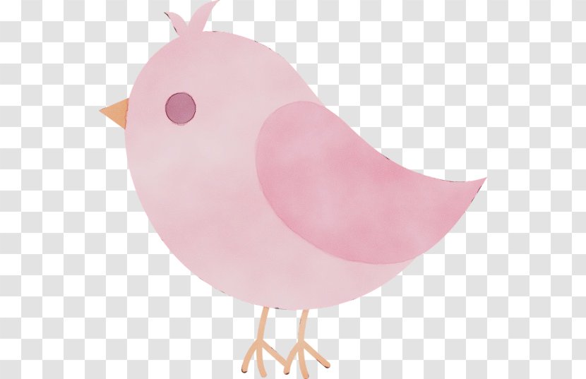 Pink Bird Clip Art Chicken Transparent PNG