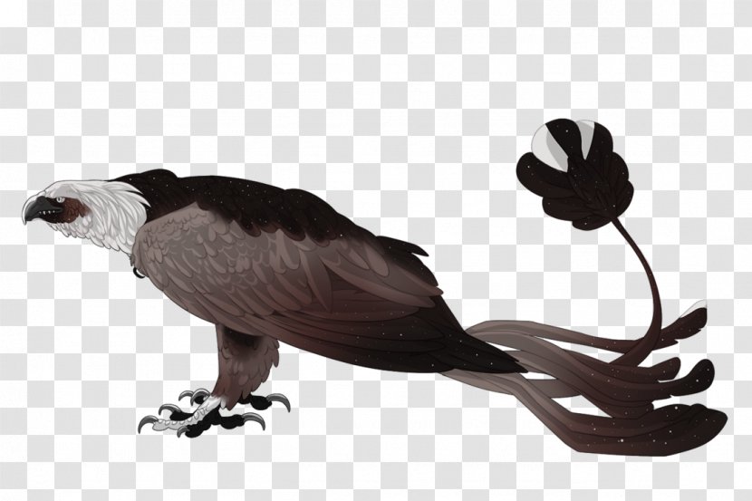 You're Welcome Eagle Kukuri DeviantArt Detroit - Fauna Transparent PNG