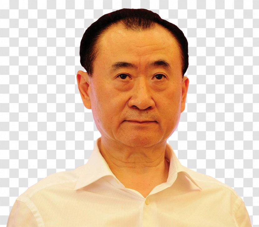 Wang Jianlin China Wanda Group Company The Japan Foundation - Jaw - Wangwang Transparent PNG