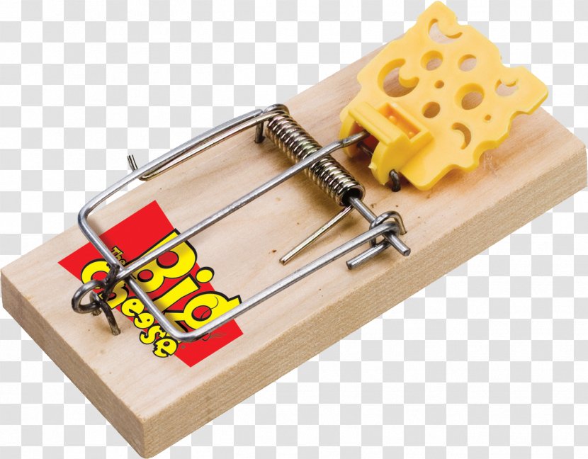 Mousetrap Rat Trap Bait - Recreation - Mouse Transparent PNG