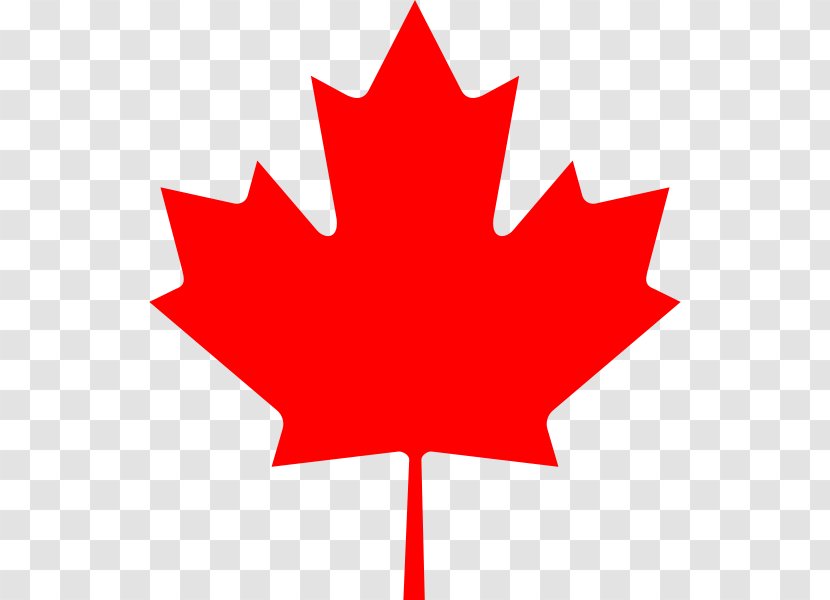 Flag Of Canada Maple Leaf Sugar - Symmetry - Pattern Shading Transparent PNG