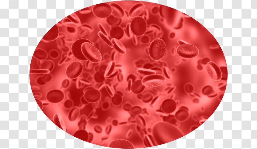Molecular Biology Of The Cell Nanotechnology Lung Health - Disease - Blood Cells Transparent PNG
