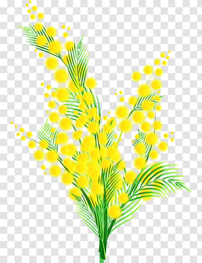 Yellow Leaf Plant Grass Flower - Branch Stem Transparent PNG