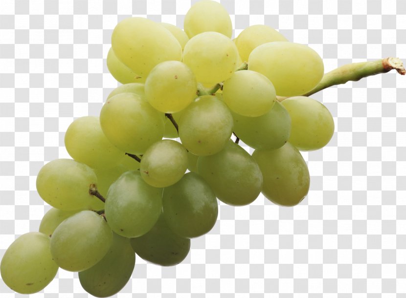 Sultana Muscat Table Grape Niagara Transparent PNG