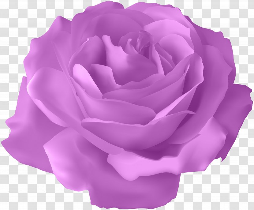 Blue Rose Flower - Violet - Purple Transparent Clip Art Image Transparent PNG