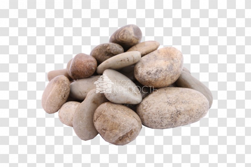 Chuño Potato - Sea Stones Transparent PNG