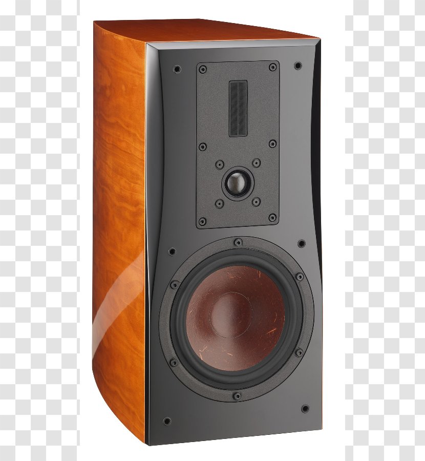 Computer Speakers Subwoofer Loudspeaker Enclosure Studio Monitor Danish Audiophile Industries - Multimedia - Dali Transparent PNG