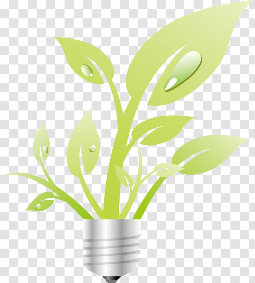 Green Icon - Drawing - Plant Transparent PNG