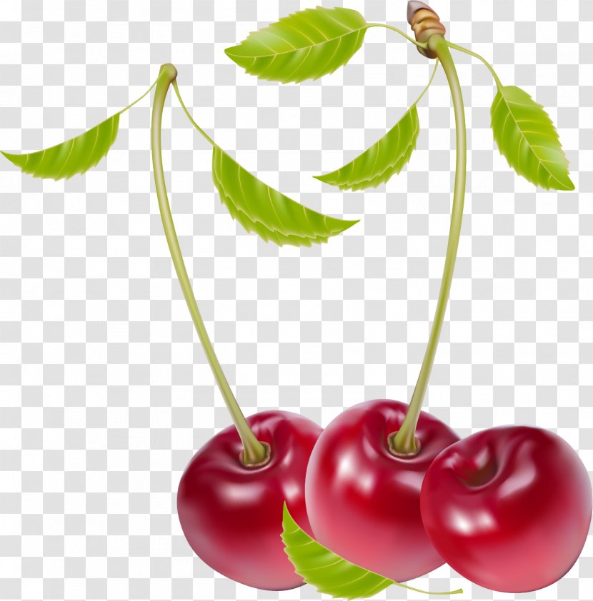 Cherry - Food - Berries Transparent PNG