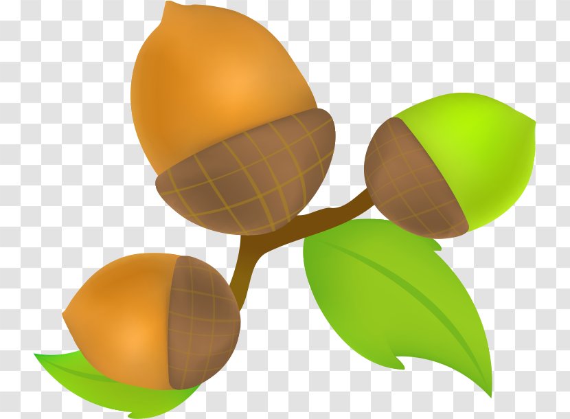 Fruit - Drawing - Fall Season Transparent PNG