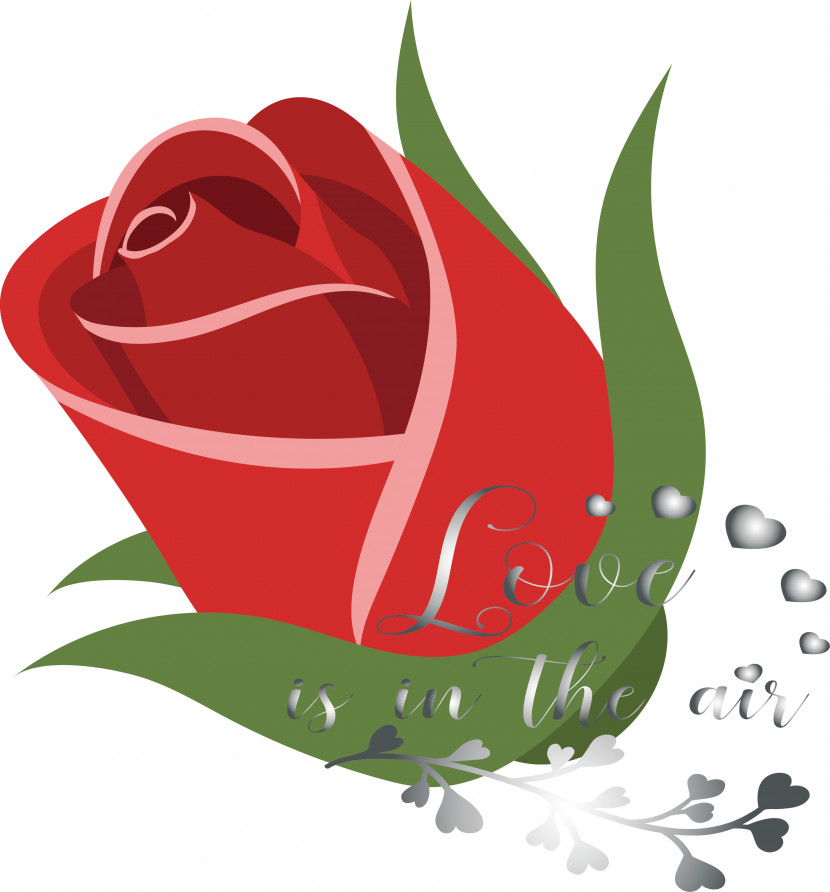 Garden Roses Transparent PNG