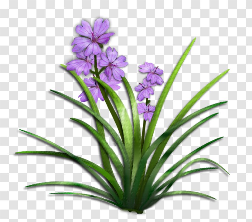 Flower Plant Shrub Clip Art - Irises - Purple Flowers Transparent PNG