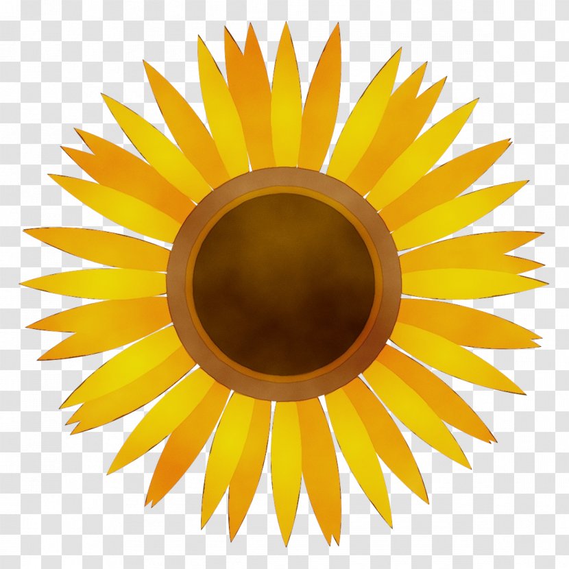 Watercolor Sunflower - Stock Photography - Plant Transparent PNG