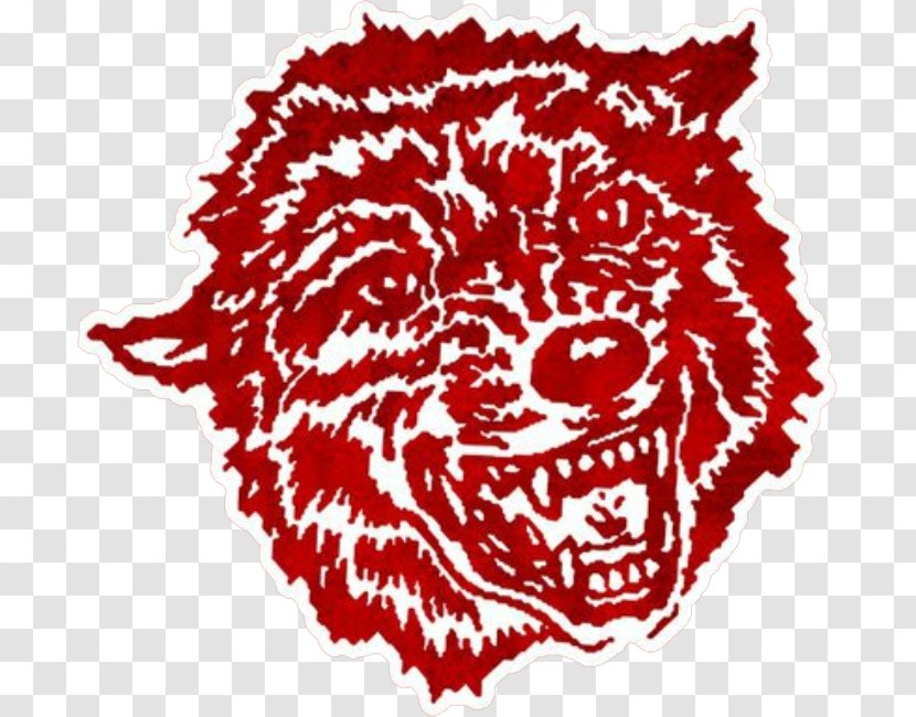 Davis Wolves Gray Wolf Logo Oklahoma Sooners Baseball Carnivora - Cartoon - Panama Football Transparent PNG