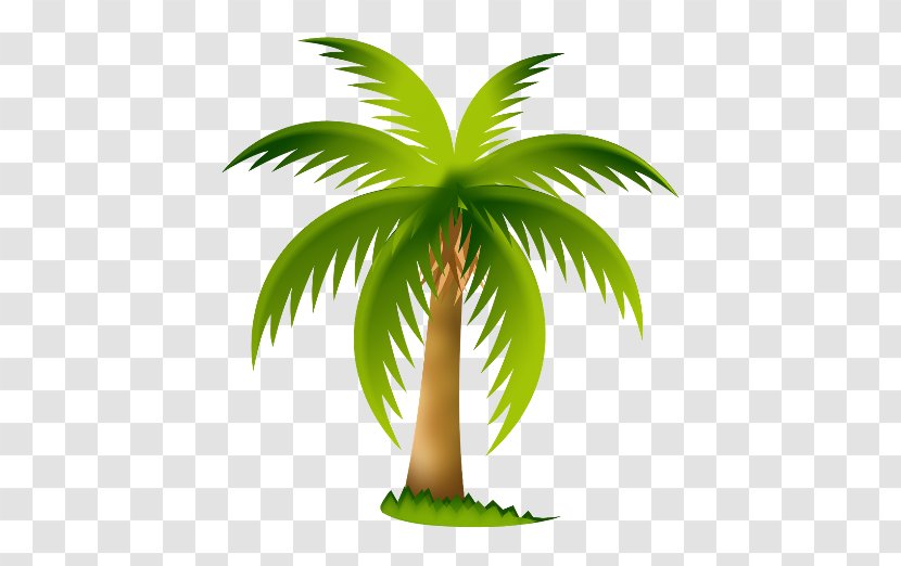 Arecaceae Tree Clip Art - Plant - Overlooking The Coconut Transparent PNG