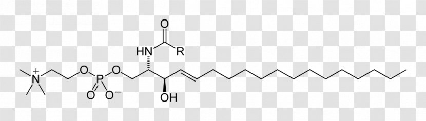 Lipid Fat Sphingomyelin Chemical Compound Biology - Monochrome Transparent PNG