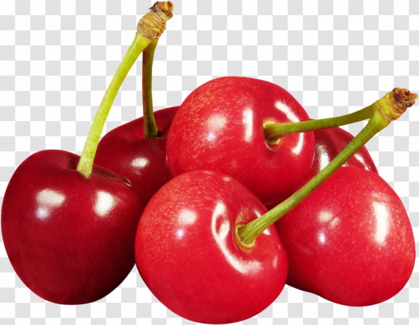 Cherry Fruit Clip Art - Natural Foods - Red Image, Free Download Transparent PNG