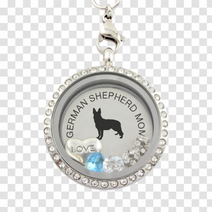 Pit Bull Locket Necklace Charm Bracelet Amulet - Dog Transparent PNG
