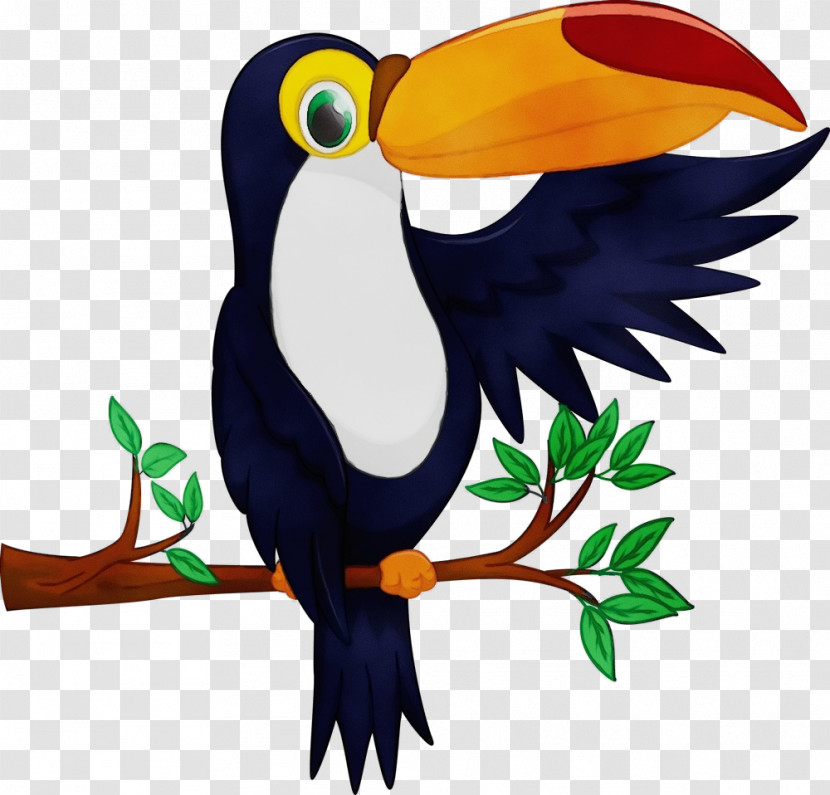 Bird Toucan Beak Piciformes Transparent PNG