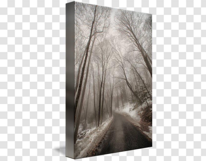 Gallery Wrap Canvas The Road To Winter Wood - Frost - In Transparent PNG