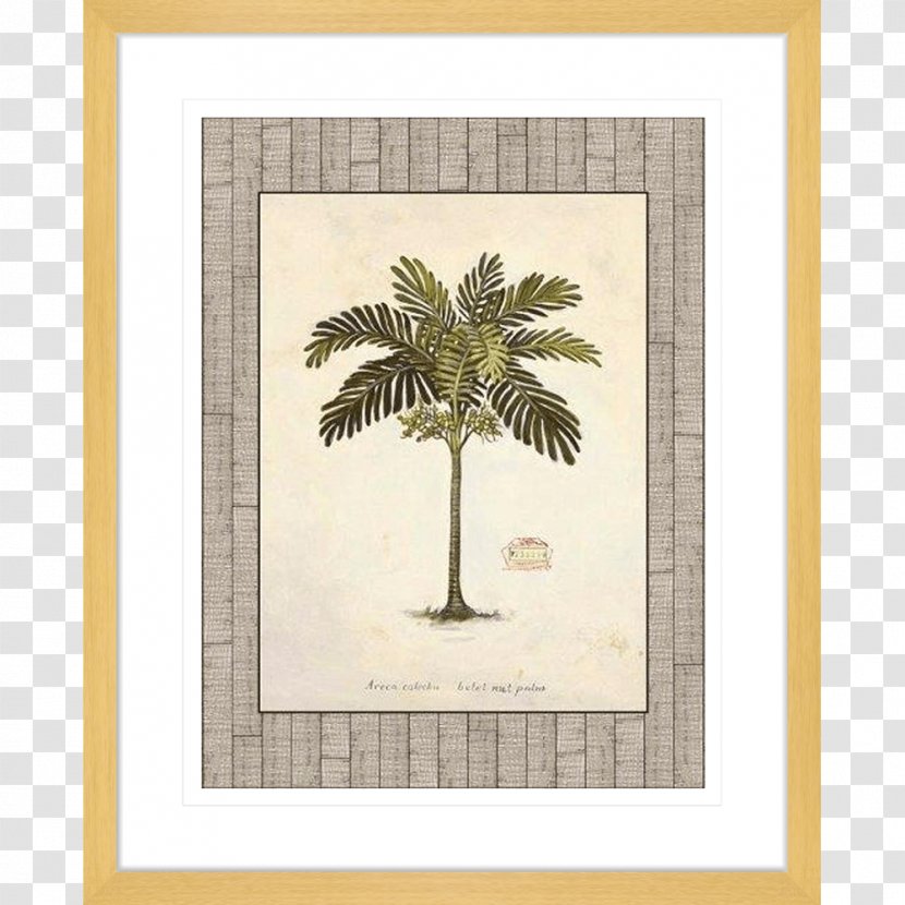 Art Tree Poster Nut - Coast - Palm Lead Transparent PNG