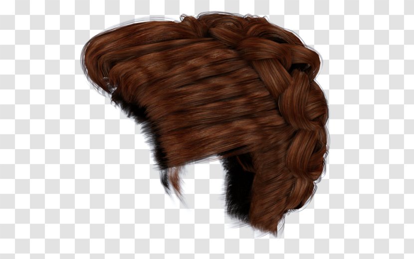 Wig Bun Braid Hair Transparent PNG