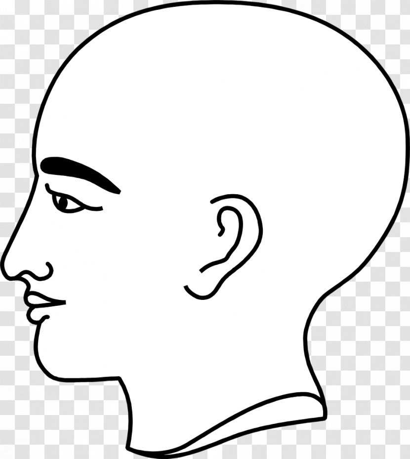 Facial Hair Person Silhouette Homo Sapiens - Frame Transparent PNG
