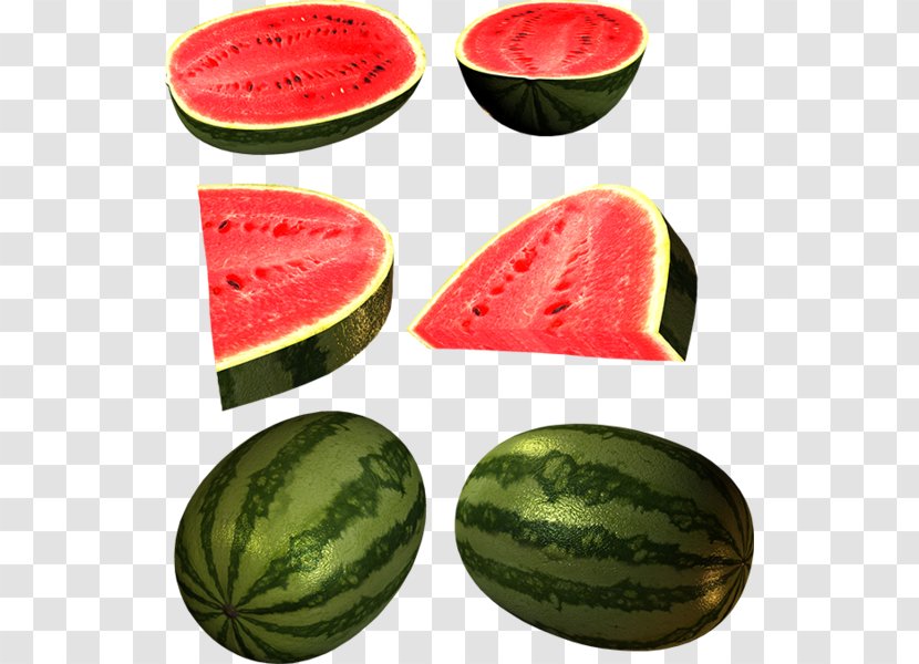 Watermelon Clip Art - Gourd Order Transparent PNG