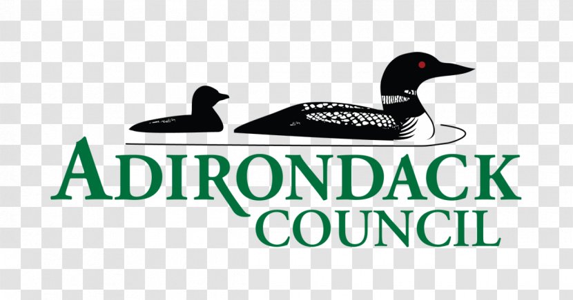 Duck Adirondack Council Logo Advertising Brand Transparent PNG