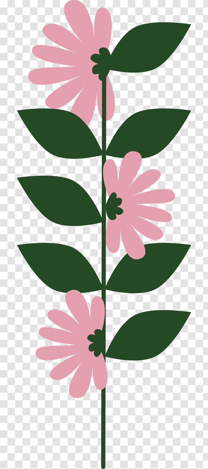 Flower Common Daisy - Pink - Floral Decoration Transparent PNG