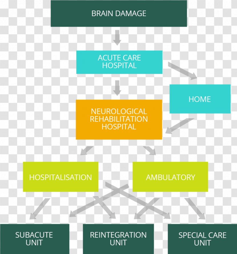 Brain Damage Physical Medicine And Rehabilitation Hospital Neurology - Acquired Injury Transparent PNG