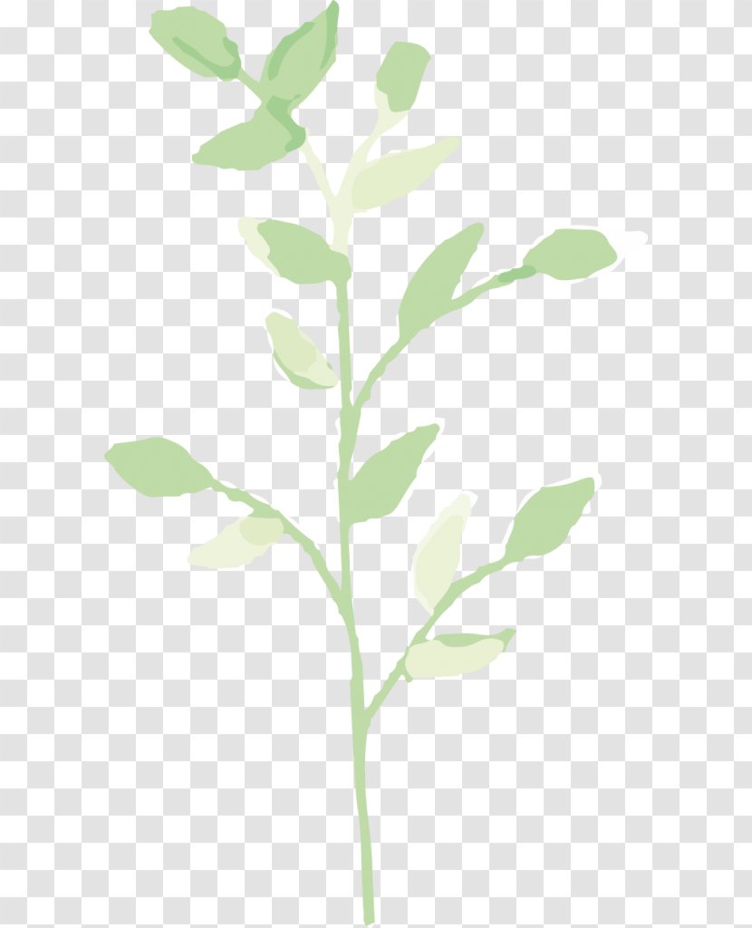 Twig Plant Stem Leaf Transparent PNG