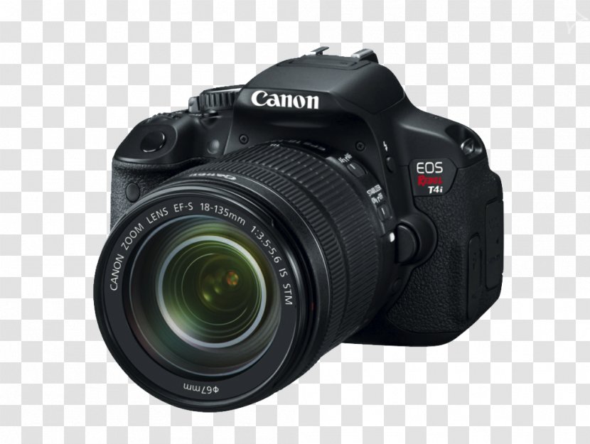 Canon EOS 650D 600D 700D M EF-S 18u2013135mm Lens - Mirrorless Interchangeable Camera - Digital SLR HD Transparent PNG