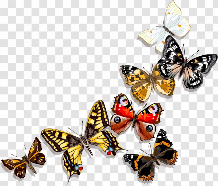Butterfly Painting Clip Art - Moths And Butterflies Transparent PNG