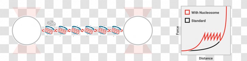 Graphic Design Brand Diagram Technology Transparent PNG