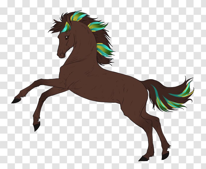 Mane Pony Foal Mustang Stallion - Horse Like Mammal Transparent PNG