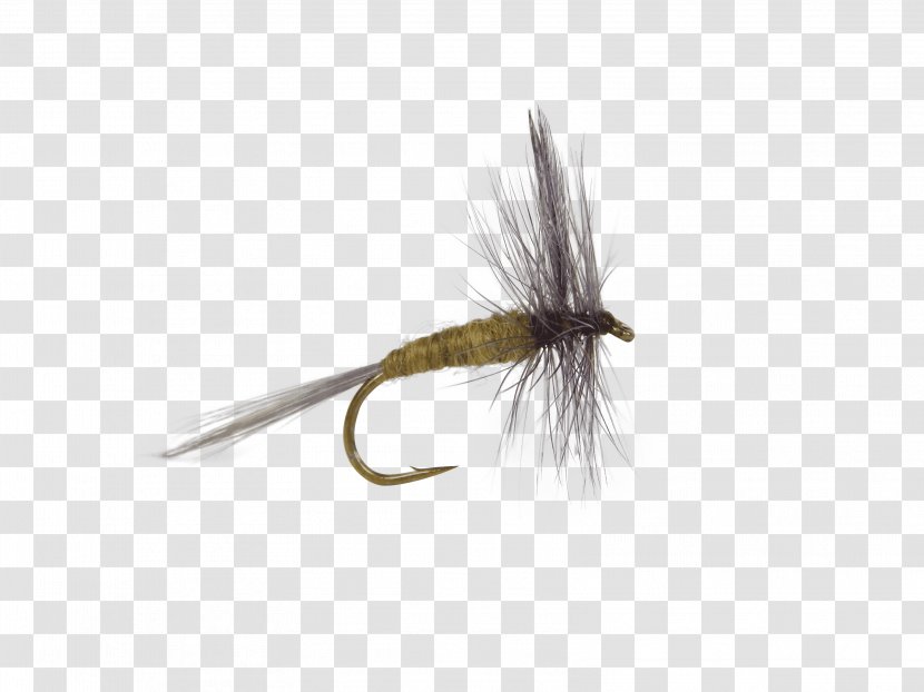 Artificial Fly Emergers Trout Flies: Naturals And Imitations Northern Pike - Fishing Transparent PNG