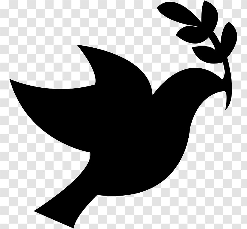 Columbidae Doves As Symbols Peace Domestic Pigeon Clip Art - Wing - Bird Transparent PNG