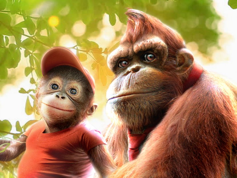 Donkey Kong Country 2: Diddy's Quest Returns 64 - Mammal - Orangutan Transparent PNG