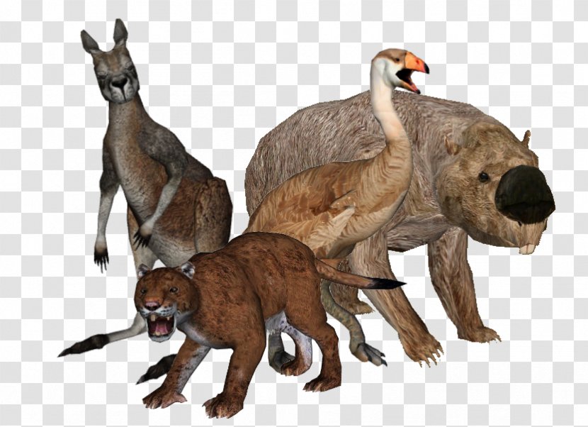 Prehistory Of Australia Megafauna Procoptodon - Mammal - Fauna Transparent PNG