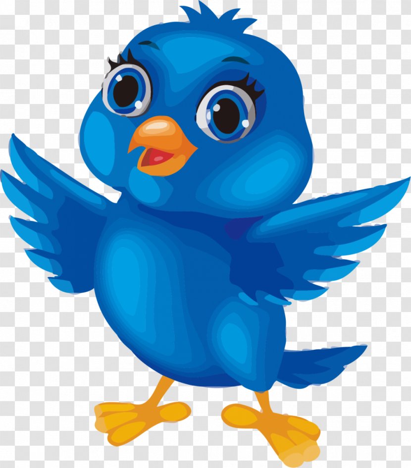 Bird Cartoon Clip Art - Animation Transparent PNG