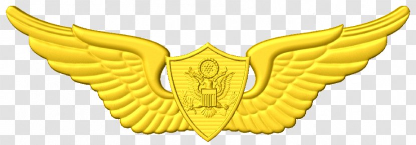 United States Of America Astronaut Badge Aviator Clip Art - Army Aviation Wings Badges Transparent PNG