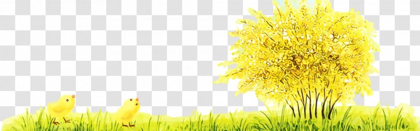 Yellow Grass Dandelion Plant - Paint - Wildflower Flower Transparent PNG