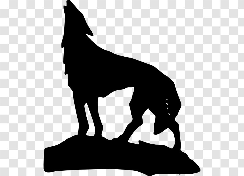 Gray Wolf Coyote Lion Clip Art - Carnivoran Transparent PNG
