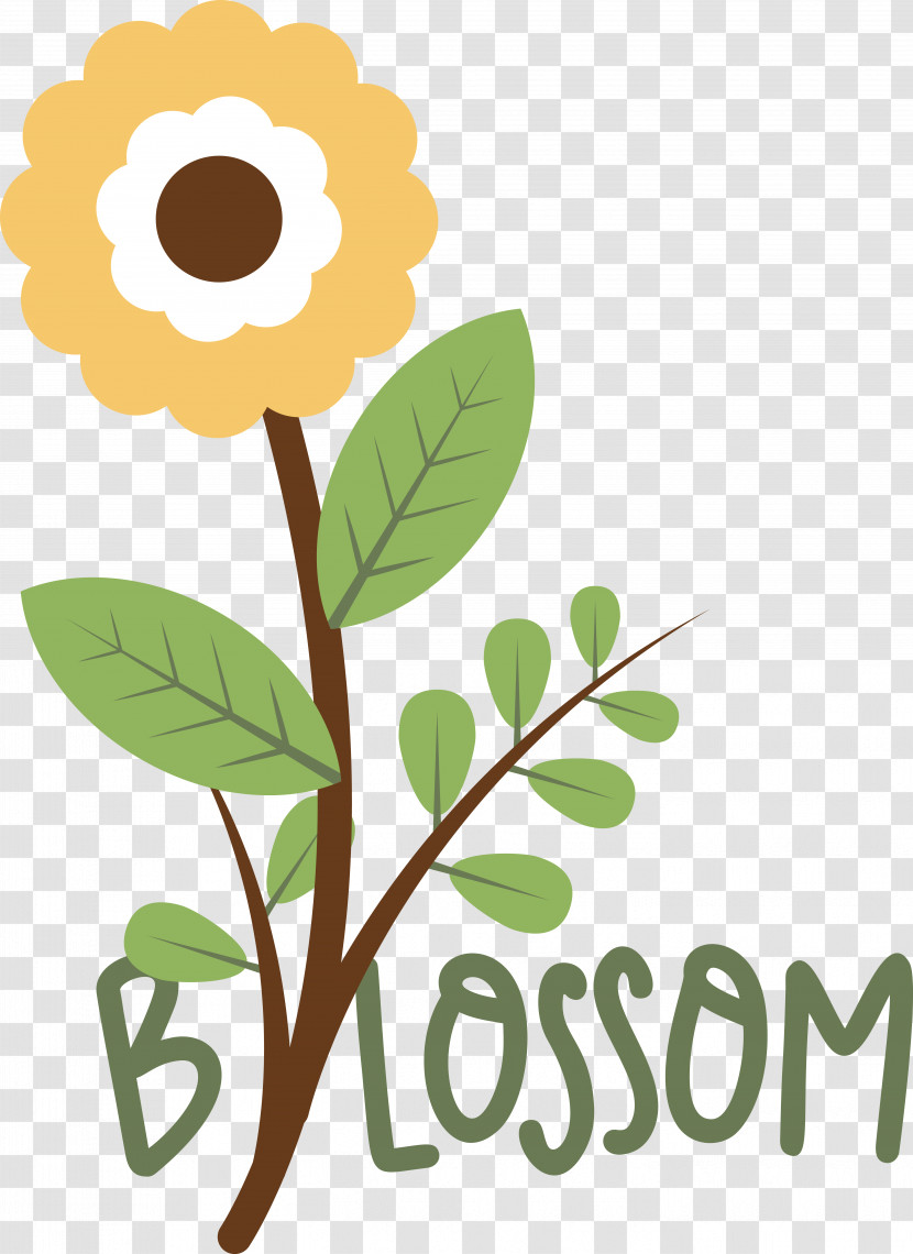 Floral Design Transparent PNG