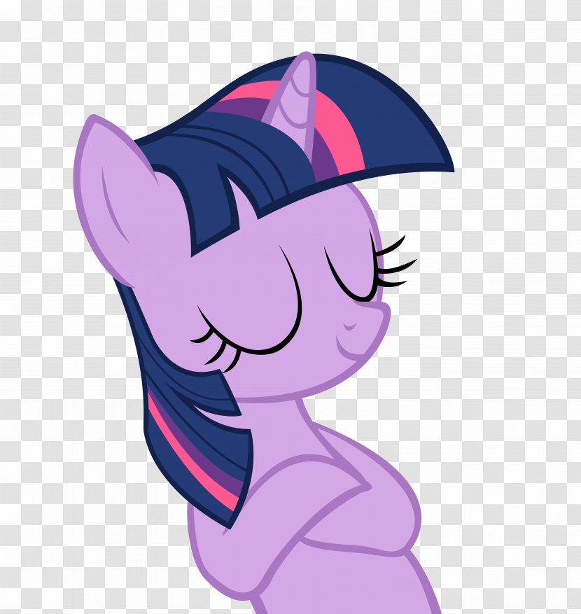 Twilight Sparkle Pony Rarity Rainbow Dash Scootaloo - Frame Transparent PNG